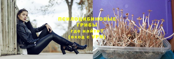 синтетический гашиш Верхний Тагил