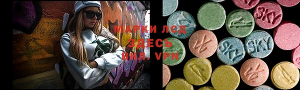 бошки Верея