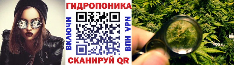 Шишки марихуана семена  Купить закладки  Никольск 